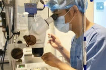 Thêm nhiều kỹ thuật hỗ trợ sinh sản hiệu quả cho bệnh nhân hiếm muộn Việt Nam