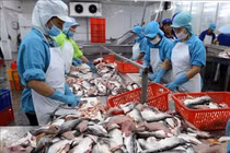 Xuất khẩu cá tra quý I tăng 88% so vời cùng kỳ 