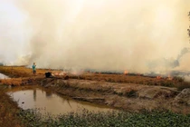 Hà Nội: Gần 350 tấn bụi và hơn 23.000 tấn CO2 phát sinh mỗi vụ đốt rơm rạ