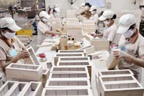 Năm 2019: Xuất khẩu lâm sản đạt 11,3 tỷ USD, cao nhất từ trước đến nay