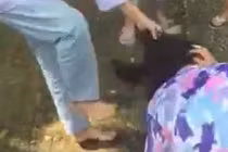 Bộ GD-ĐT lên tiếng vụ đánh hội đồng nữ sinh lớp 8 trong sự hò reo