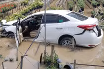 Ôtô lao xuống ruộng hoa, tài xế đưa vợ con bỏ đi