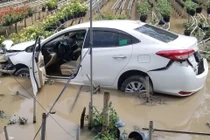 Ôtô lao xuống ruộng hoa, tài xế đưa vợ con bỏ đi