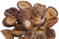 Nấm hương điều trị đau xương khớp