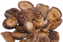 Nấm hương điều trị đau xương khớp