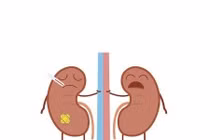 Giải pháp cải thiện bệnh suy thận hiệu quả từ sản phẩm thảo dược