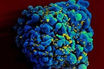 Virus làm cho cuộc sống con người tốt đẹp hơn