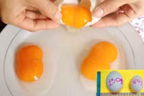 Trứng gà hai lòng giàu dinh dưỡng