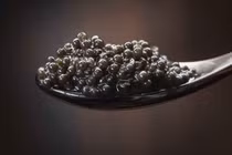 Tội ác đằng sau những món ăn xa xỉ