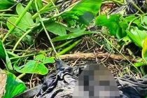 Cà Mau: Vợ khai nhận giết chồng giấu xác dưới ao hơn 4 tháng