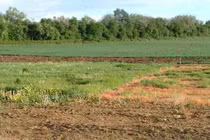 Thủ tướng đồng ý chuyển đổi mục đích sử dụng đất tại tỉnh Phú Thọ