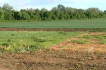 Thủ tướng đồng ý chuyển đổi mục đích sử dụng đất tại tỉnh Phú Thọ