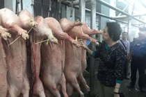 TPHCM: “Xử phạt nặng để ngăn chặn thực phẩm bẩn”