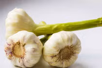 Ăn tỏi mọc mầm có an toàn?