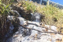 Suối băng lạ mắt xuất hiện tại đỉnh Fansipan