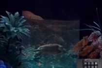 Samsung tuyên bố chế tạo thành công màn hình 3D cho điện thoại thông minh 