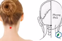  Bấm huyệt để tăng trí nhớ