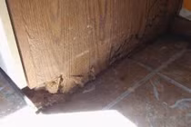 Diệt mọt trong đồ gỗ