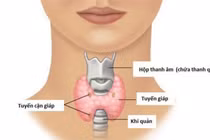 Tổn thương tuyến cận giáp