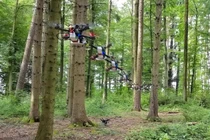 AI học cách bay trong thế giới thực từ không gian mô phỏng