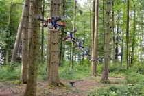 AI học cách bay trong thế giới thực từ không gian mô phỏng