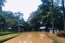 Cảnh báo nguy cơ ngập lụt khẩn cấp trên sông Đồng Nai.