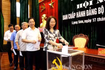 Tân Phó Bí thư Tỉnh ủy được bầu giữ chức Chủ tịch UBND tỉnh