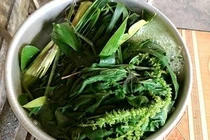 Xông nước lá để phòng COVID, 2 trẻ bị bỏng phải điều trị tích cực