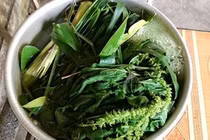 Xông nước lá để phòng COVID, 2 trẻ bị bỏng phải điều trị tích cực