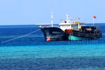 Nhận dạng tàu cá Trung Quốc - Kỳ 1: Đa phần là tàu vỏ sắt