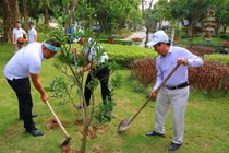 Loại cây nên trồng phòng lũ quét