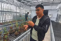 Cơ quan chức năng ở Quảng Ninh lên tiếng về vụ mua bán lan đột biến gần 300 tỷ đồng