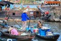 Sống nơi ẩm ướt dễ nhiễm bệnh 