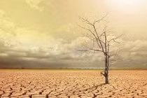 El Nino chưa tác động rõ tới thời tiết nước ta