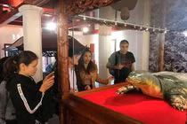 Tủ đặc dụng đặt tiêu bản cụ rùa Hồ Gươm