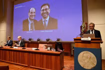 Giải Nobel Sinh học cho những khám phá về cách cơ thể cảm thụ nhiệt độ và áp lực