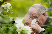 Phân biệt viêm mũi dị ứng với triệu chứng hô hấp khác