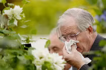 Phân biệt viêm mũi dị ứng với triệu chứng hô hấp khác