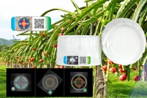 Sử dụng nông dược an toàn, trách nhiệm và hiệu quả, tránh hàng nhái, hàng giả