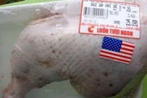 Nghi vấn thịt gà nhập khẩu bán phá giá tại Việt Nam 