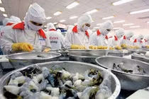 Xuất khẩu tôm sẽ giảm 4% trong năm 2019