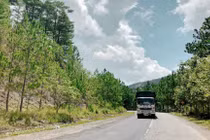 Hãy đi chậm ở những đoạn đường có rừng và khu bảo tồn