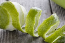 Vật liệu hấp phụ kim loại nặng từ vỏ bưởi