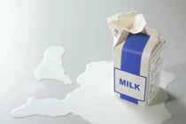 Chất lượng của sữa tươi, sữa chua đóng hộp được đảm bảo nhờ ba yếu tố: Công nghệ sản xuất, bao bì, quá trình vận chuyển – lưu trữ - bảo quản sản phẩm.