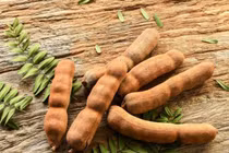 Me chua ích gan mật