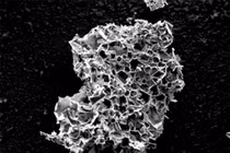 Rác thải nhựa trở thành vật liệu hấp thụ CO2