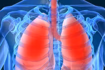 5 thói quen giúp phổi luôn khỏe mạnh mỗi ngày