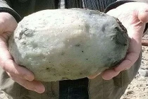 Vì sao long diên hương đắt hơn vàng?