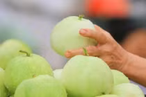 Dưa lê giúp hạ huyết áp