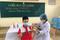 Hà Nội: Gần 8.500 trẻ 11 tuổi tiêm vắc xin COVID-19 chưa ghi nhận phản ứng bất thường